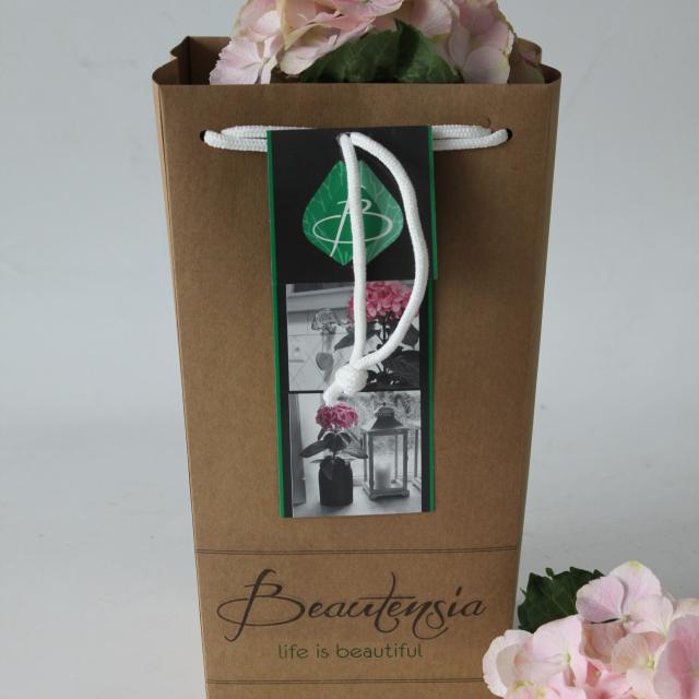 Beautensia® leverbaar van week13-25